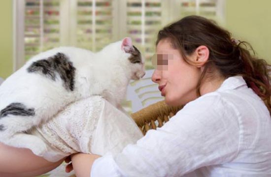 Attenzione ai gatti è in agguato il Toxoplasma gondii. Può contagiare l'uomo e procurare malattie come la schizofrenia