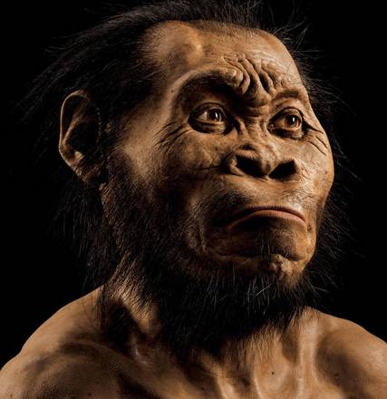 La ricostruzione dell'Homo Naledi