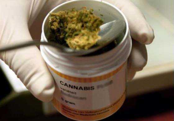 Francia, testano farmaco a base di cannabis. Un morto e 5 gravi