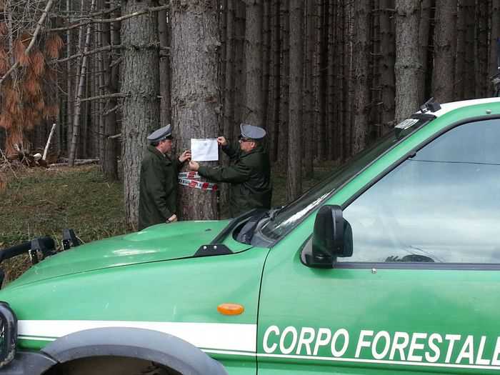 Gli uomini del Corpo Forestale dello Stato sequestra bosco a Calabria Verde