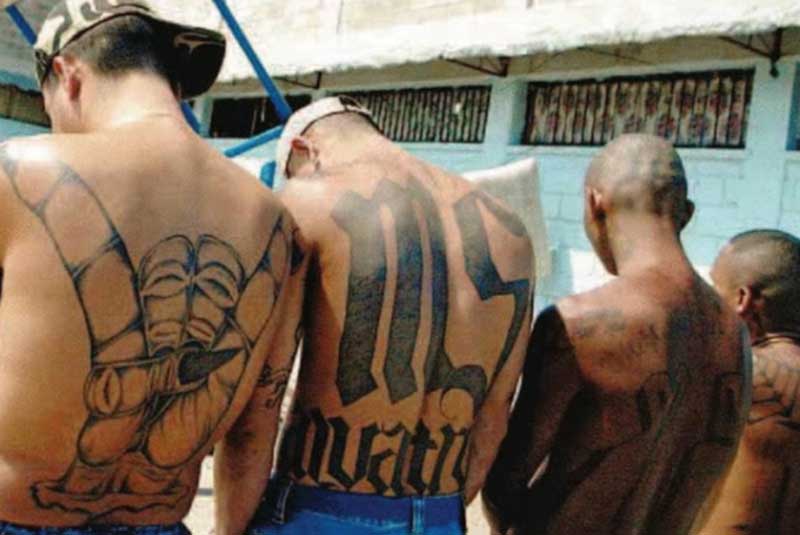 Omicidio a Milano, arrestati sette membri della gang di "latinos"