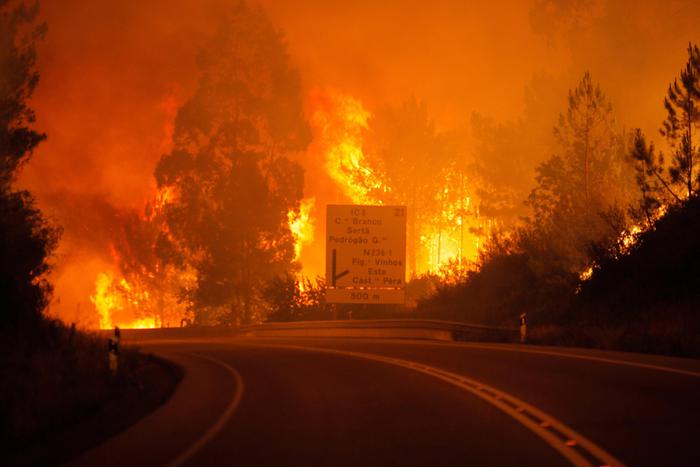 L'incendio nella foresta di Pedrogao Grande in Portogallo