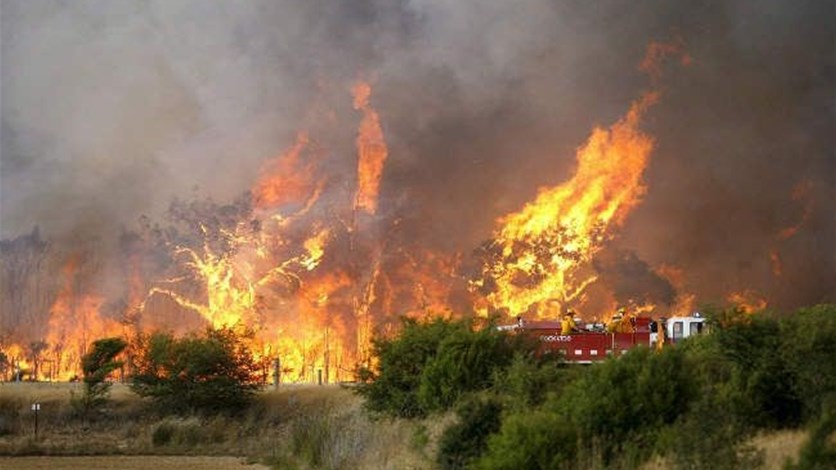Incendio sterpaglie bosco Roberto Lionetti Bisignano