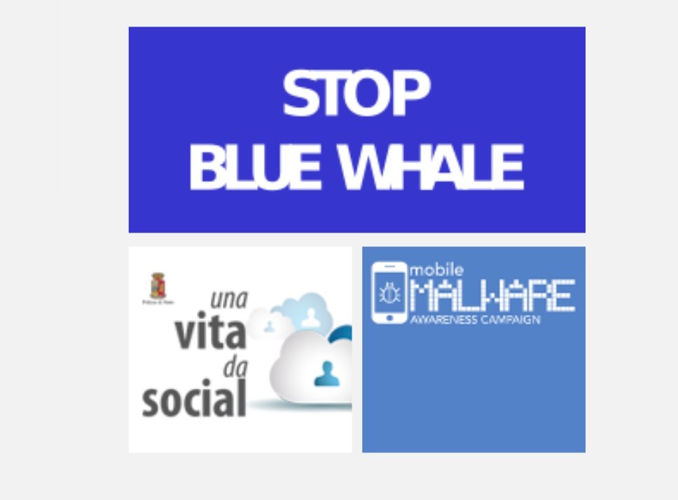 Stop Blue Whale
