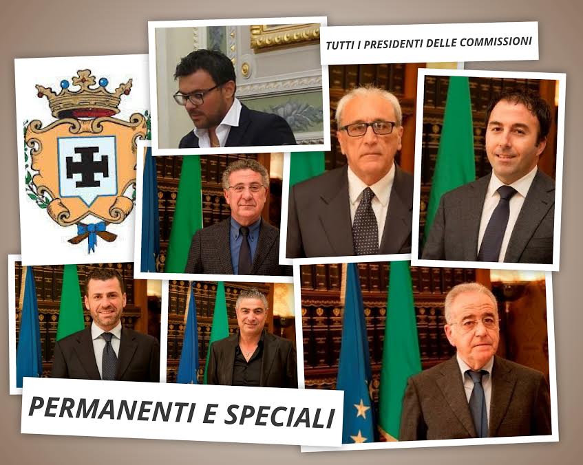 presidenti commissioni provincia di Cosenza 2017