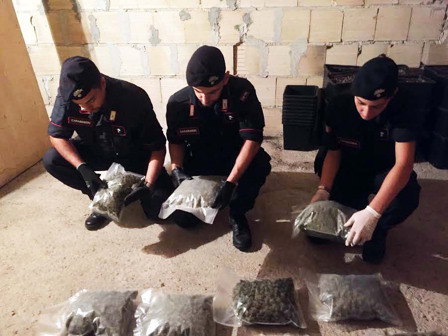 carabinieri crotone marijuana
