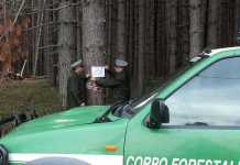 uomini del Corpo Forestale dello Stato sequestrano bosco