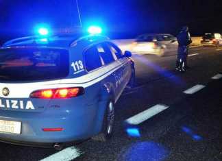 Indagate 2 donne per omessa custodia dei cavalli che causarono incidente mortale La polizia