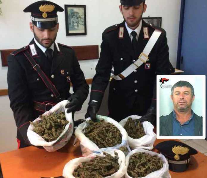 militari-rosarno I militari di Rosarno con la droga sequestrata a Antonino Sergio, nel riquadro