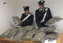 Militari di Curinga con la marijuana sequestrata