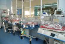 reparto neonatologia