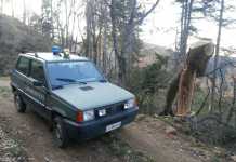 auto carabinieri forestale