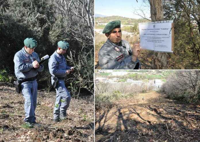 carabinieri forestale rende Rende, estirpano bosco abusivamente, sequestro e mega multa