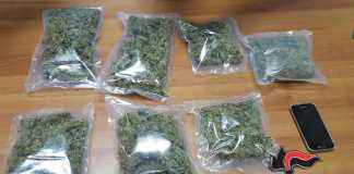 La marijuana sequestrata a Delianuova