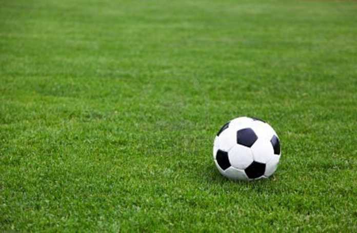 pallone in campo pallone in campo