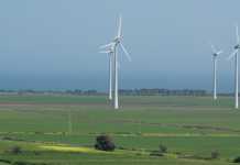 Operazione "Isola del vento": sequestro beni per un valore di circa 350 milioni di euro tra cui parco eolico
