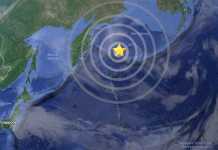 Terremoto di magnitudo 6.1 tra Russia e Stati Uniti. Allerta tsunami terremoto mare di Bering