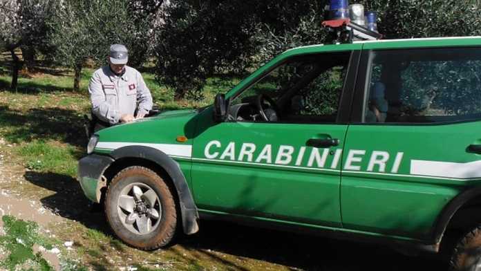 carabinieri forestali