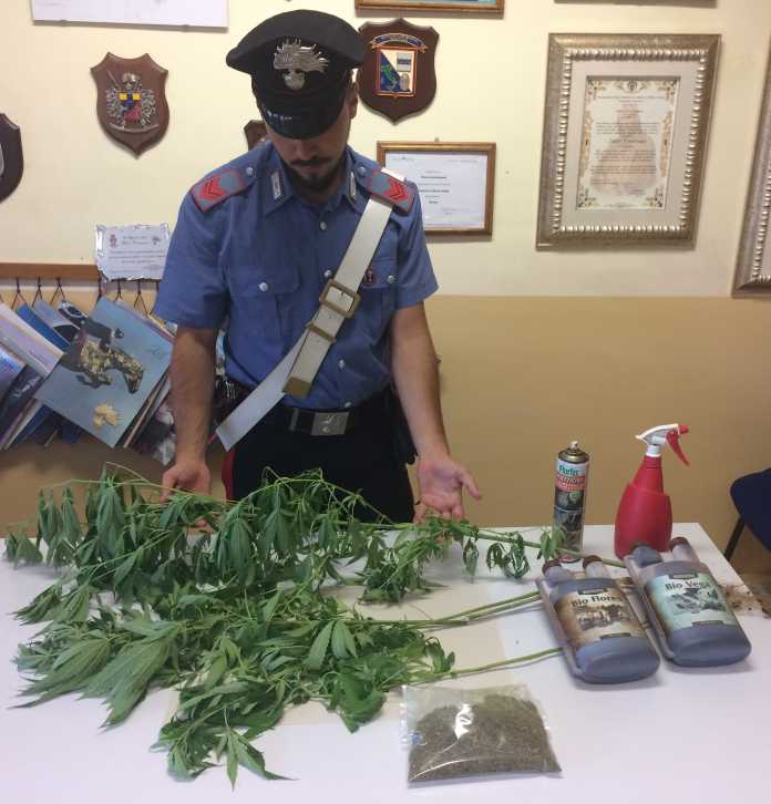 Marijuana carabinieri Cirò