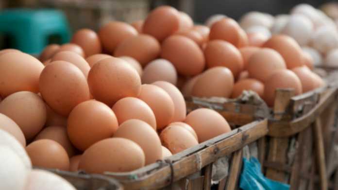 uova fipronil rischio contaminazione