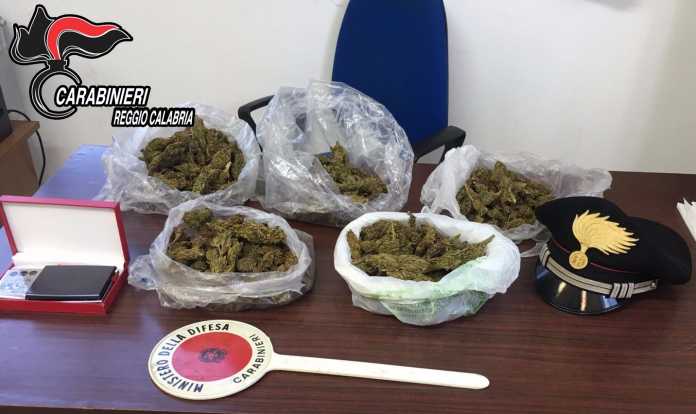 Marijuana Reggio Marijuana Reggio