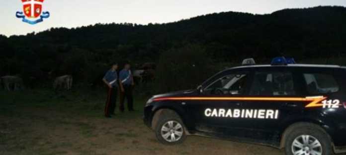 carabinieri bestiame
