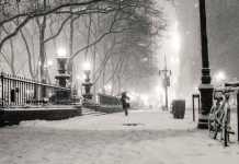 Italia nella morsa del maltempo. Pioggia e neve al Sud. Si teme il gelo Maltempo neve parco