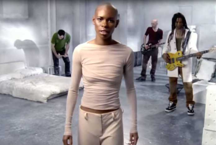 Skunk Anansie