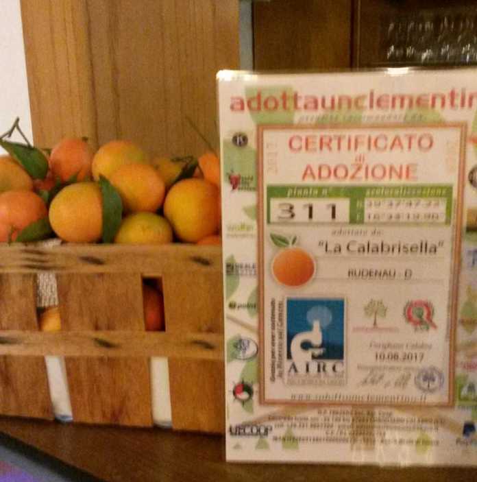 Adotta un clementino, iniziativa promossa in Germania