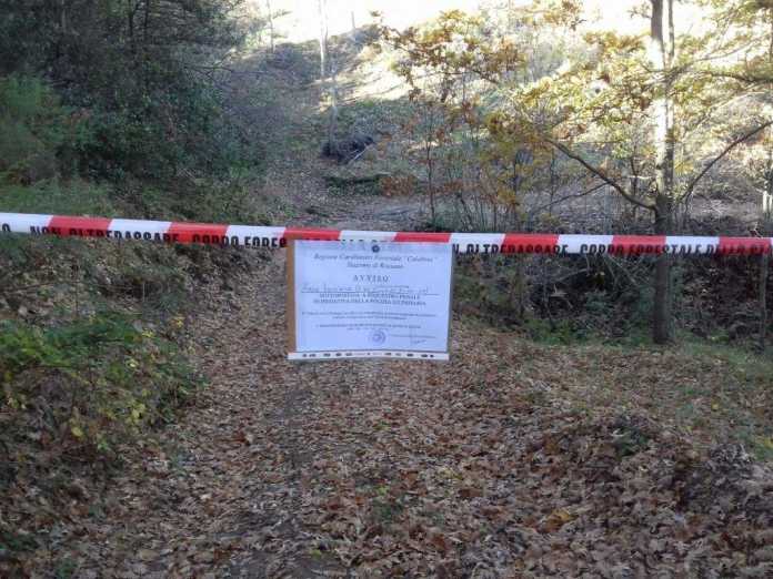 bosco sequestrato a campana bosco sequestrato a campana