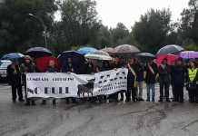 Protesta a Cittanova contro vacche sacre della 'ndrangheta