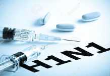 influenza virus h1n1