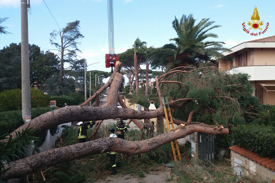 Maltempo in Calabria, raffiche di vento oltre i 100 km orari: danni