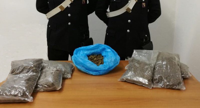 La marijuana sequestrata ad Africo Nuovo
