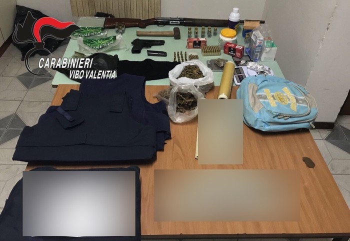 Il materiale sequestrato dai carabinieri di Vibo Valentia