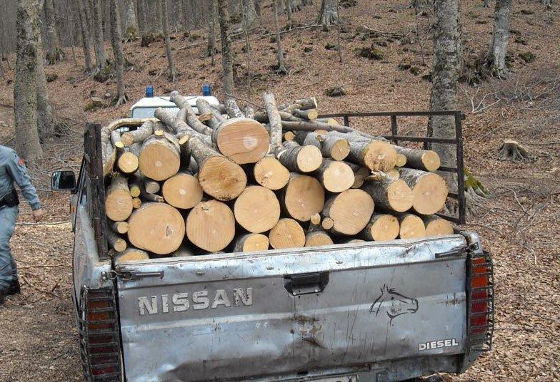 furto legna