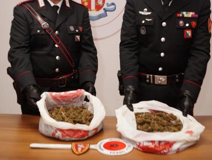 Droga: a Policoro (Matera) un arresto dei Carabinieri