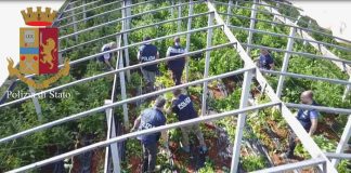 marijuana ragusa drone