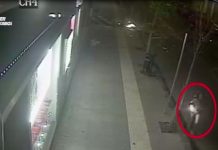 attentatore cosenza
