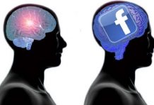 cervello social media facebook