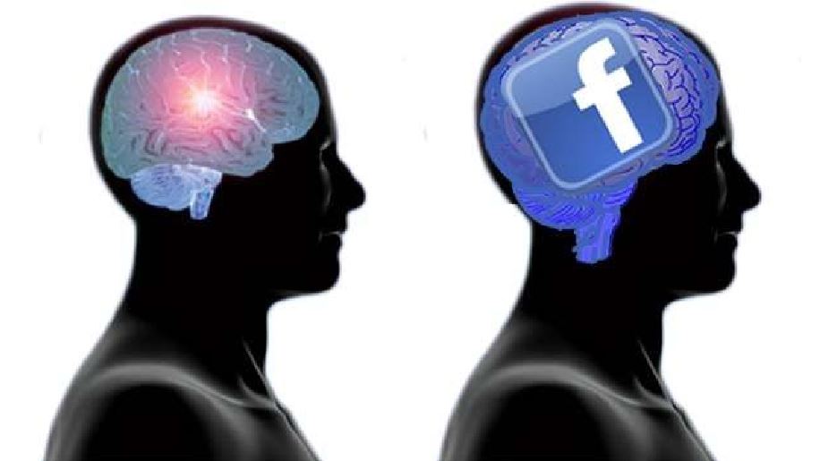 cervello social media facebook