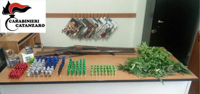 Droga: anziana trovata con piccola piantagione marijuana e uomo arrestato per due fucili e munizioni Anziana trovata con piccola piantagione marijuana e uomo arrestato per due fucili e munizioni