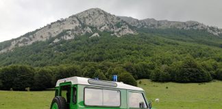 carabinieri forestali parco