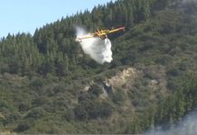 Vasto incendio sul Pollino, fiamme verso le montagne. In azione i pompieri Canadair incendio