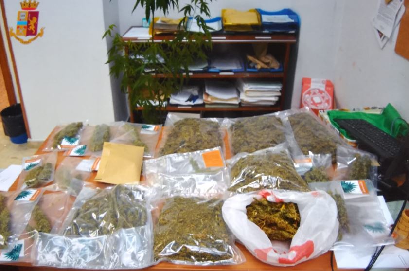 marijuana Cosenza