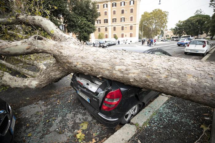 maltempo, danni, allagamenti, alberi caduti su auto