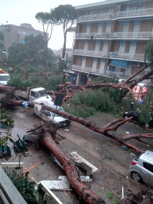 maltempo, danni, allagamenti, alberi caduti su auto