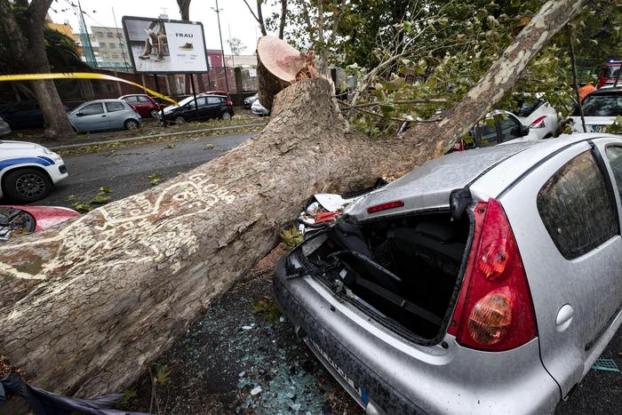 maltempo, danni, allagamenti, alberi caduti su auto