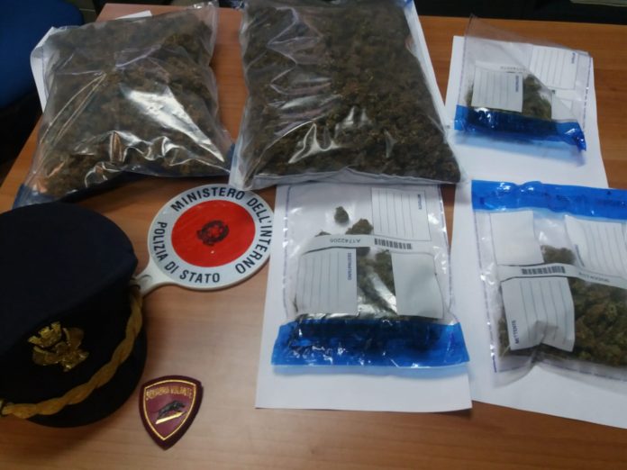 marijuana polizia cosenza
