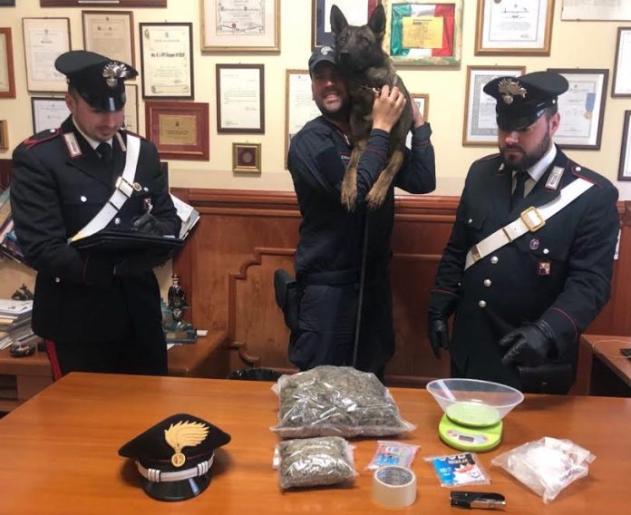 marijuana rosarno marijuana rosarno